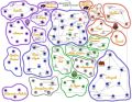Thumbnail for version as of 08:06, 20 January 2024