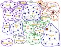 Thumbnail for version as of 08:07, 20 January 2024